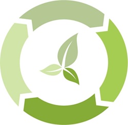 Icon article environment