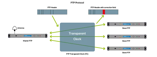 The different types of clocks - Transparent clock