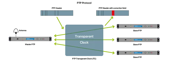 The different types of clocks - Transparent clock