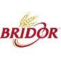 Logo bridor